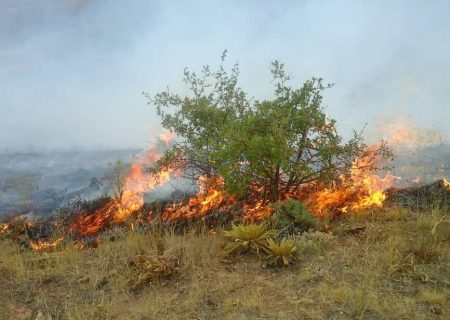 آتش‌سوزی در ارتفاعات خفر فارس مهار شد