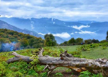مازندران، آمل، جنگل الیمستان
