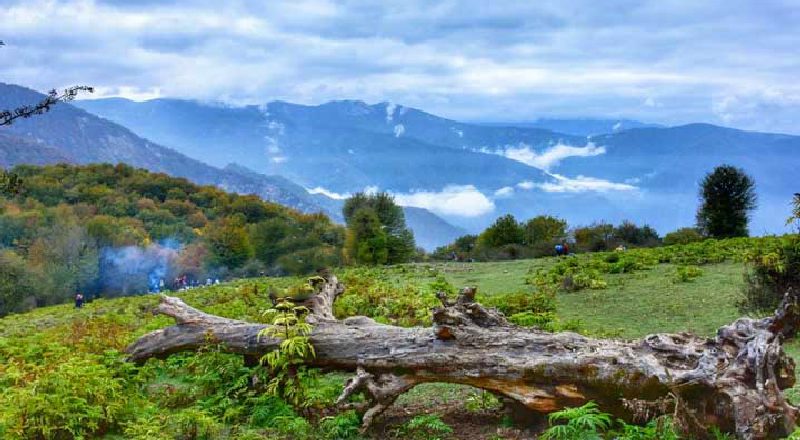 مازندران، آمل، جنگل الیمستان