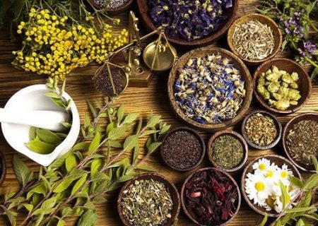 ۱۰ گام بلند برای استفاده از ظرفیت‌های ملی صنعت گیاهان دارویی