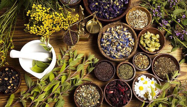 ۱۰ گام بلند برای استفاده از ظرفیتهای ملی صنعت گیاهان دارویی