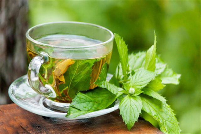 “بادرنجبویه” ، گیاهی برای تقویت قلب و انبساط روح