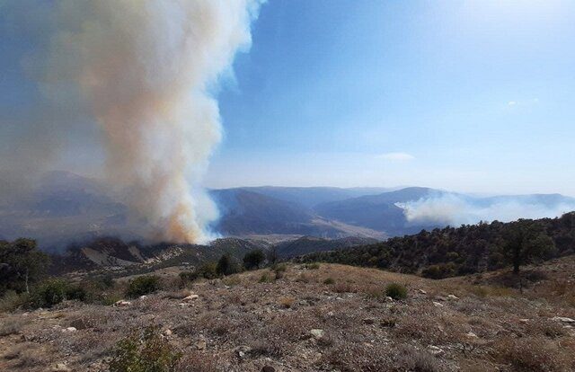 وقوع ۲ فقره آتش‌سوزی در ارتفاعات کردکوی