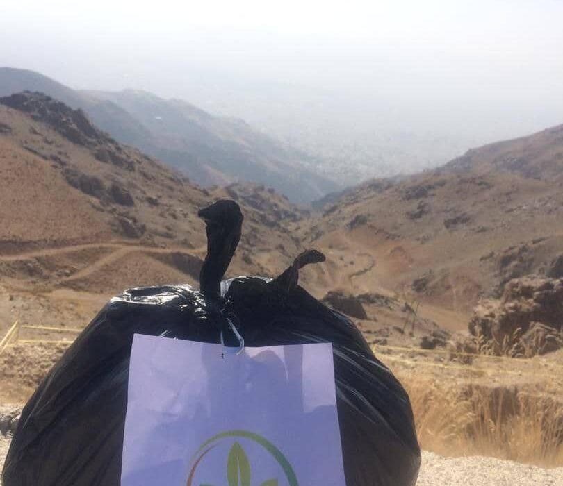 سهم من از طبيعت