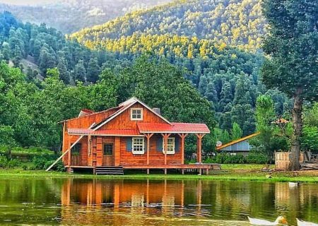 بهشت گمشده در دل جنگل های سر به فلک کشیده گیلان