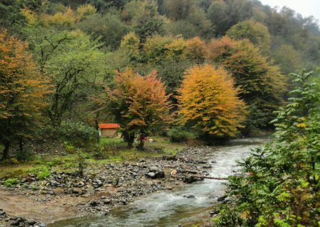 طبیعت پاییزیِ اُطاقوَر