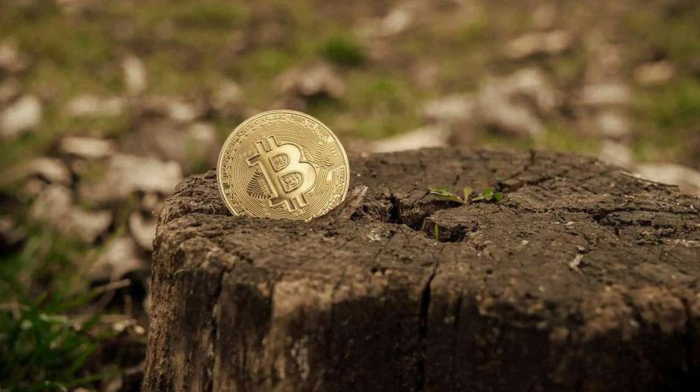هر بیت‌کوین چقدر به محیط‌زیست آسیب می‌زند