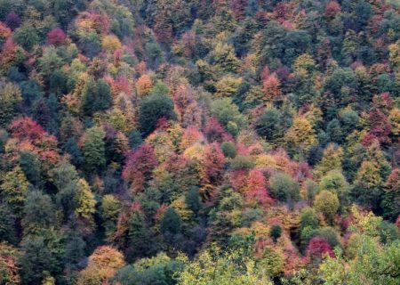 طبیعتِ تماشاییِ ماسال در پاییزِ هزار رنگ