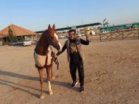 موفقیت سوارکار دشتستانی در مسابقات اسبدوانی کشوری استان یزد