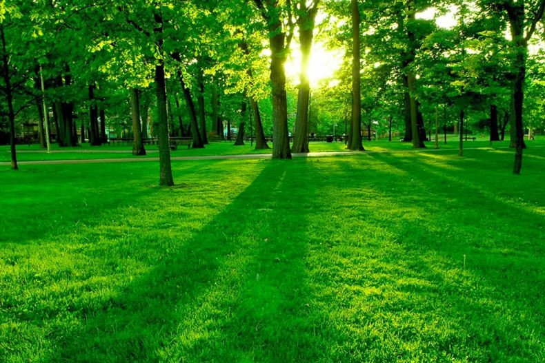 طبیعت درمانی چیست