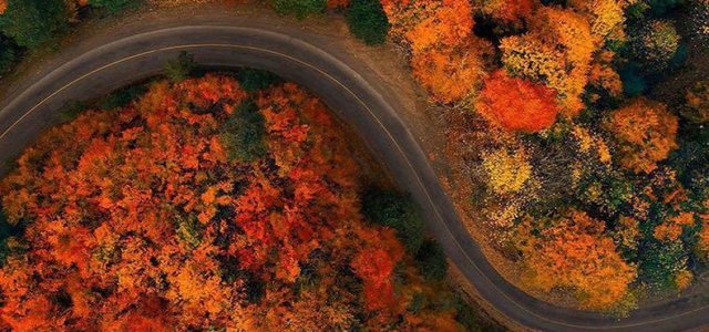 طبیعتِ هزار رنگِ پاییزی در جاده‌ی تماشاییِ پونل به خلخال