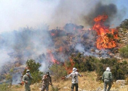 مشارکت کوهنوردان خراسان شمالی در مهار آتش سوزی جنگل گلستان