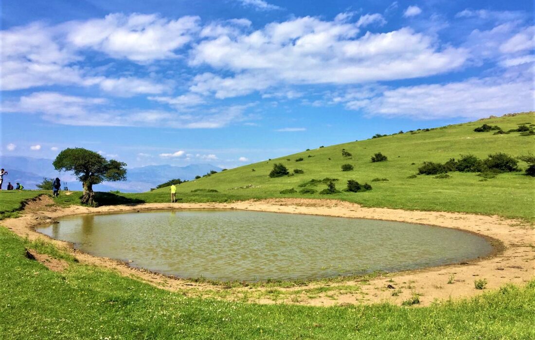 آبگیر تک درخت روستای گلدیان