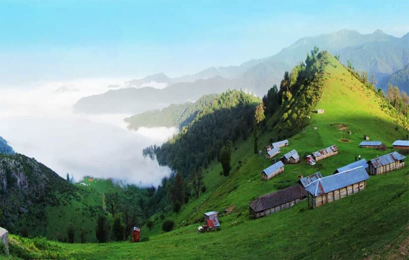 زنده در مه