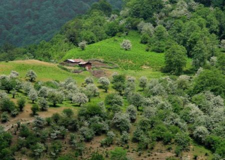 طبیعت تماشایی سنگچال