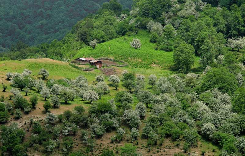 طبیعت تماشایی سنگچال