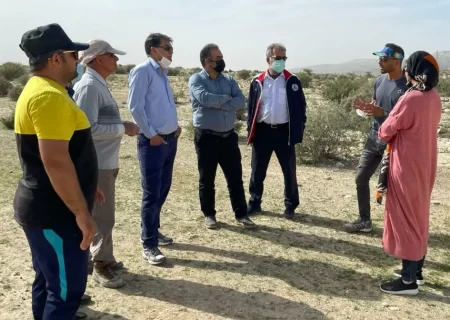 بررسی و بازدید از محل برگزاری مسابقه بزرگ دوی کوهستان استان بوشهر