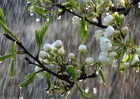 صاعقه و رگبار باران در راه مازندران