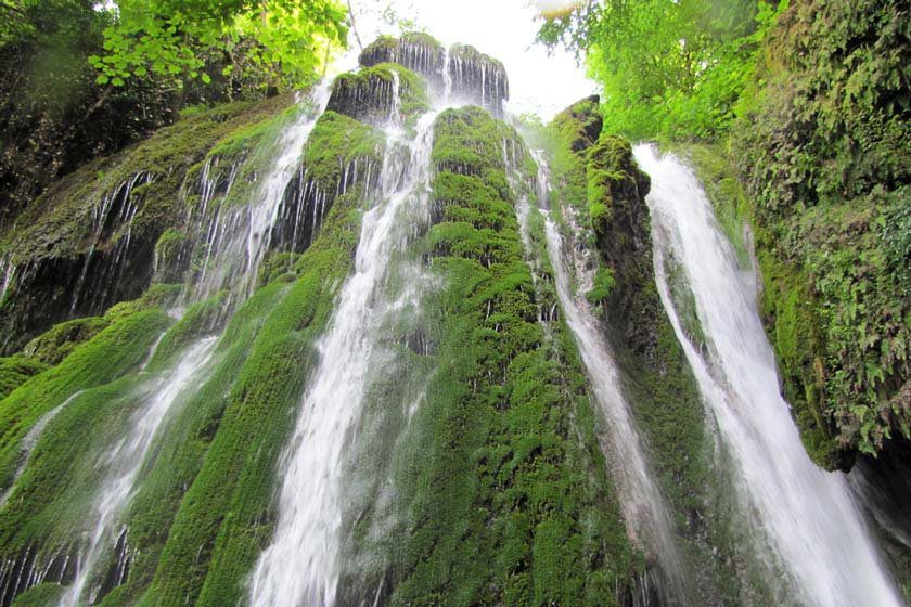 آبشار خزه‌ای کبودوال - پایگاه خبری بام نیوز | Bam News Agency
