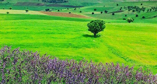 طنازی طبیعت در بلندترین نقطه ایران