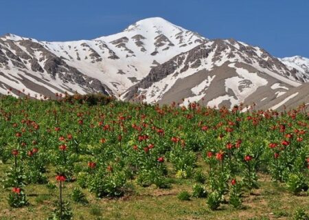 سفر به دیار چشمه‌ها و آبشارها؛ از فریدونشهر تا بوئین میاندشت