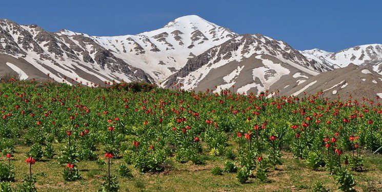 سفر به دیار چشمه‌ها و آبشارها؛ از فریدونشهر تا بوئین میاندشت