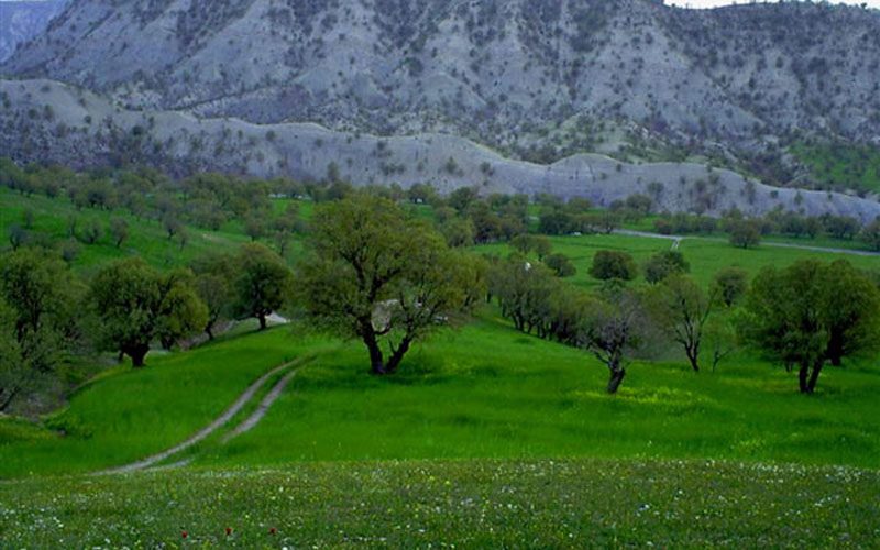 پدیدهی جالب در ایلام