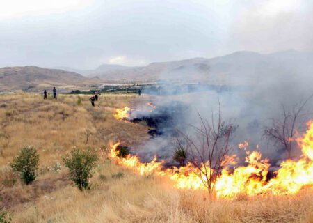 آتش‌سوزی یکی از معضلات اصلی حفاظت از عرصه‌های منابع طبیعی چناران