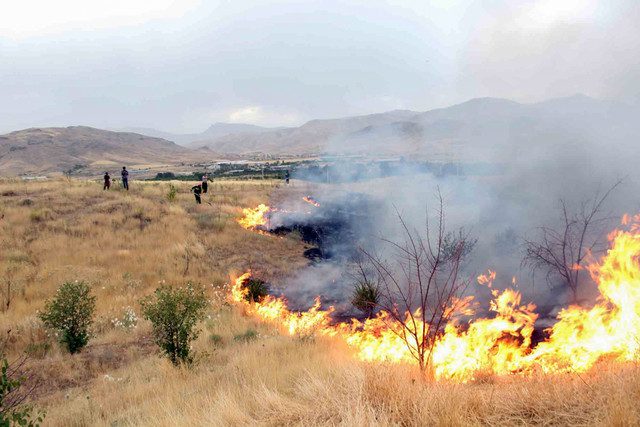 آتش‌سوزی یکی از معضلات اصلی حفاظت از عرصه‌های منابع طبیعی چناران