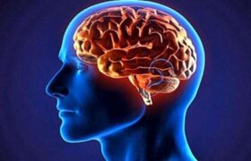 راهکارهایی برای افزایش جریان خون در مغز