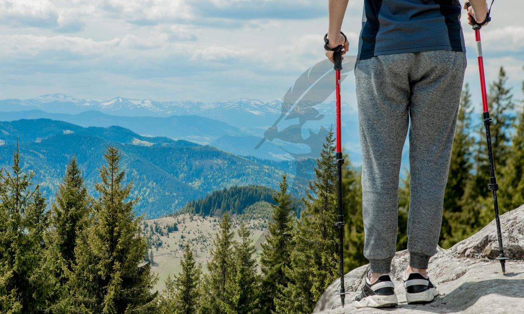 مصرف پروبیوتیک در ورزش کوهنوردی