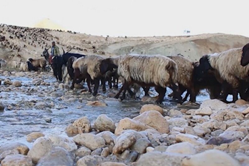 هشدار هواشناسی آذربایجان‌شرقی به عشایر کوچ رو