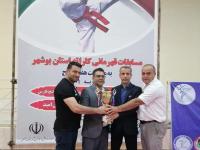 برگزای مسابقه کاراته انتخابی استان در شهرستان عسلویه به مناسبت هفته بسیج