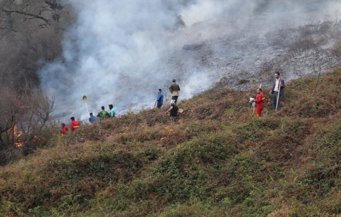 آتش‌سوزی در عرصه‌های طبیعی و جنگلی ۷۰ درصد کاهش یافت