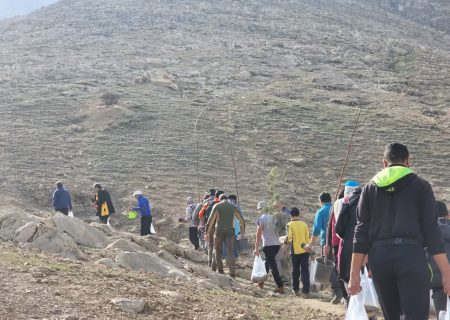 کوهنوردان شهرری در رشته کوه راگا درخت کاشتند