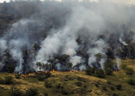 ورود ارتش و سپاه برای اطفای حریق جنگل های مریوان