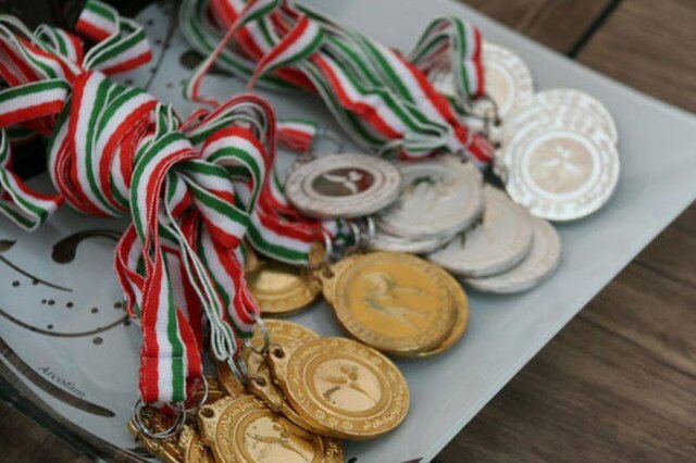 کسب ۱۴۲ مدال کشوری و ۱۸ مدال بین‌المللی و جهانی توسط ورزشکاران ملایری
