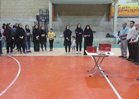مسابقات والیبال گرامیداشت هفته دولت در خارگ برگزار شد