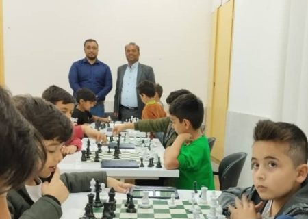 یک خارگی عهده دار دبیری باشگاه شطرنج دشتستان شد