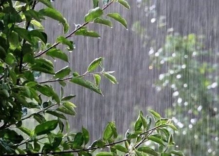 کلیه فعالیت‌های ورزشی در محیط و فضاهای رو باز سراسر استان بوشهر تعطیل شد