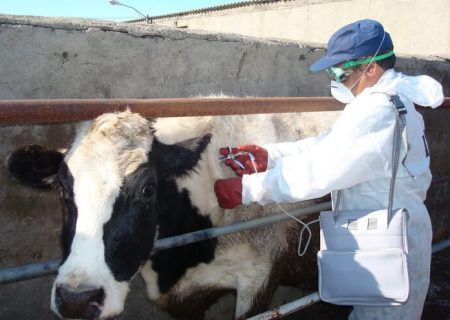 تهدید بهداشت عمومی از سوی دامداری‌ها مجازات سختی دارد