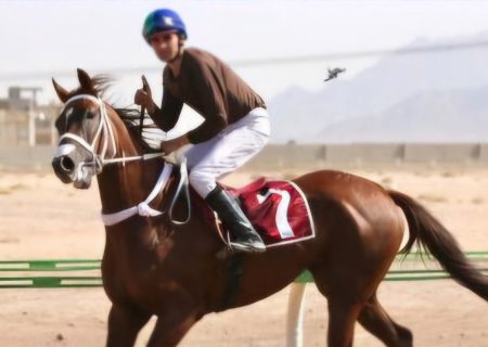 موفقیت سوارکاران استان بوشهر در مسابقات اسبدوانی پاییزه یزد