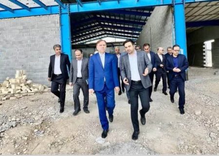 تاکید استاندار بوشهر بر حمایت از واحدهای تولیدی