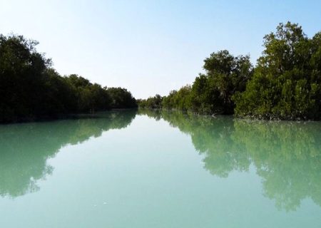تالاب حله بوشهر جان گرفت