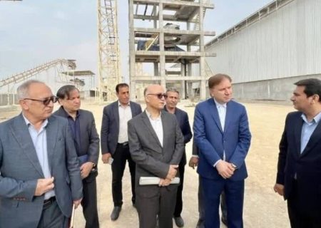 واحدهای تولیدی با پیشرفت بالای ۵۰ درصد در بوشهر حمایت می‌شوند