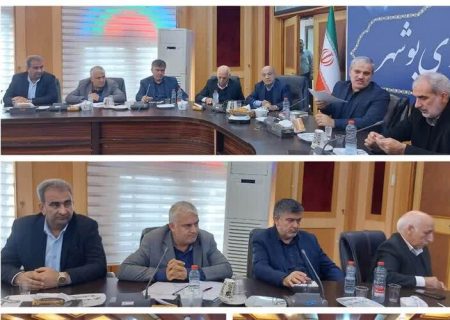 مسکن خانواده‌های دارای چند عضو معلول تأمین می‌شود