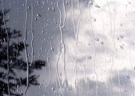 هوای شمال استان بوشهر از شنبه بارانی می‌شود