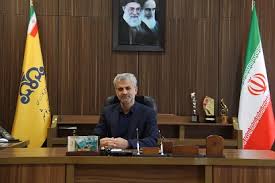 پایان بهمن ماه برای رفع قطعی گاز پتروشیمی های متانول ساز تصمیم گیری می شود