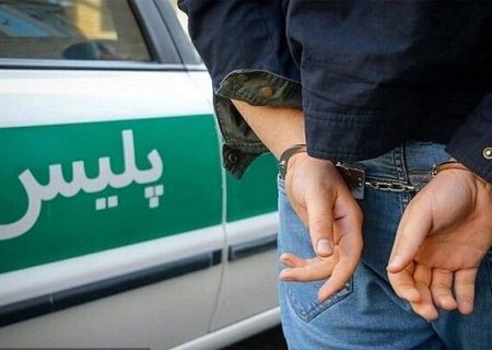 طرح ارتقا امنیت اجتماعی در بوشهر اجرا شد