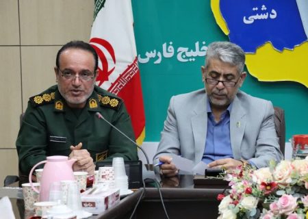 حل مشکلات دشتی با تکیه بر ظرفیت‌ها دنبال می‌شود